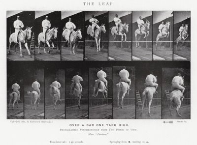 Eadweard Muybridge: Il salto da Eadweard Muybridge