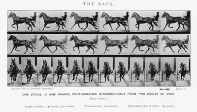 Il galoppo da Eadweard Muybridge