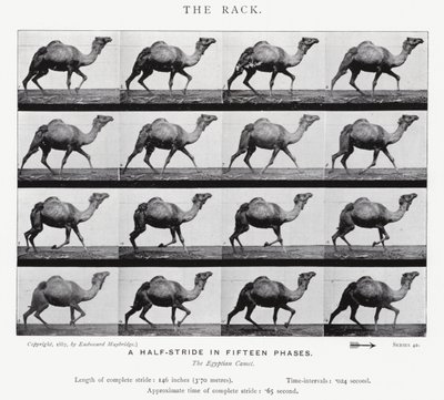 Il galoppo da Eadweard Muybridge