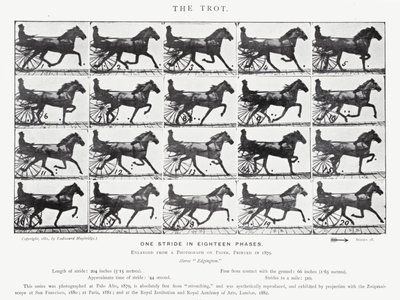 Il trotto da Eadweard Muybridge