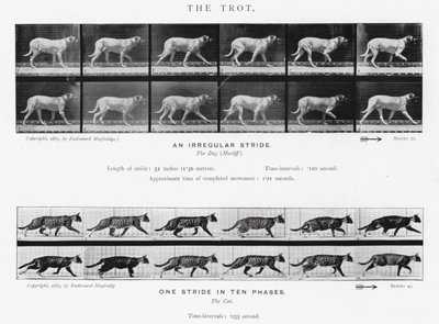 Il trotto da Eadweard Muybridge