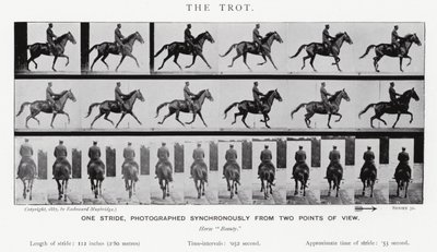 Eadweard Muybridge: Il trotto da Eadweard Muybridge
