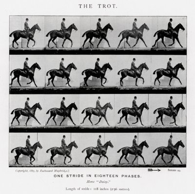 Eadweard Muybridge: Il trotto da Eadweard Muybridge