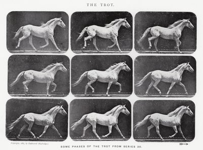 Eadweard Muybridge: Il trotto da Eadweard Muybridge