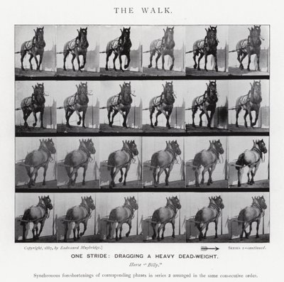 Eadweard Muybridge: La camminata da Eadweard Muybridge