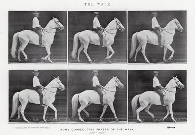 Eadweard Muybridge: La camminata da Eadweard Muybridge