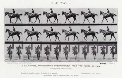Eadweard Muybridge: La camminata da Eadweard Muybridge