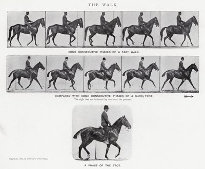 Eadweard Muybridge: La camminata da Eadweard Muybridge