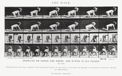 Eadweard Muybridge: La camminata da Eadweard Muybridge