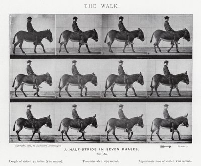 Eadweard Muybridge: La camminata (foto in b/n) da Eadweard Muybridge