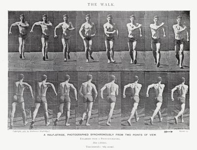 Eadweard Muybridge: La camminata (foto in b/n) da Eadweard Muybridge
