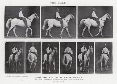 Eadweard Muybridge: La camminata (foto in bianco e nero) da Eadweard Muybridge