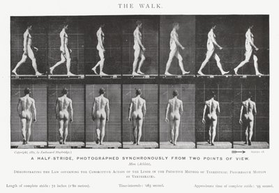 Eadweard Muybridge: La camminata (foto in bianco e nero) da Eadweard Muybridge