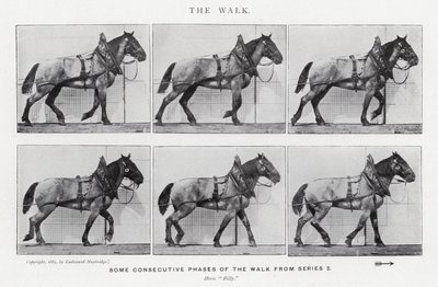 Eadweard Muybridge: La camminata da Eadweard Muybridge