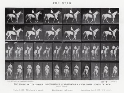 Eadweard Muybridge: La camminata da Eadweard Muybridge