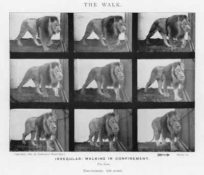 Eadweard Muybridge: La camminata da Eadweard Muybridge