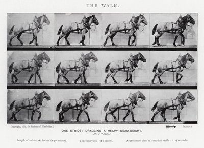 Eadweard Muybridge: La camminata da Eadweard Muybridge