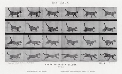 Eadweard Muybridge: La camminata da Eadweard Muybridge