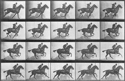 Cavallo al galoppo, tavola 628 da 