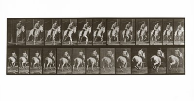 Cavallo al galoppo con cavaliere, Tavola 635 da Animal Locomotion da Eadweard Muybridge