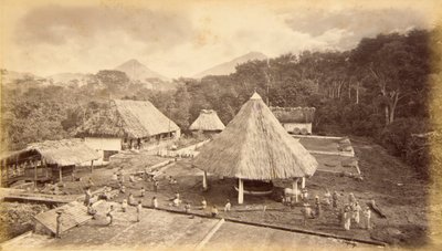 Hacienda William Nelson, San Isidro, Guatemala da Eadweard Muybridge