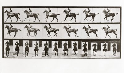 Cavallo e cavaliere, Tavola 621 da Animal Locomotion da Eadweard Muybridge