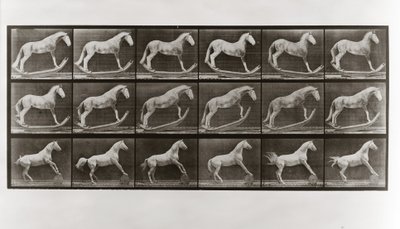 Cavallo su dondoli e cavallo che rotola un barile, Tavola 649 da Animal Locomotion da Eadweard Muybridge