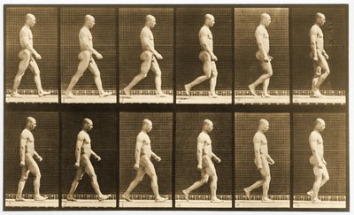 Sequenza di immagini di un uomo nudo che cammina, serie 
