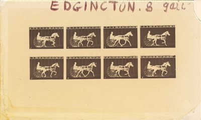 Internegativo per Cavalli. Trotto. Abe Edgington. No. 28 da Eadweard Muybridge