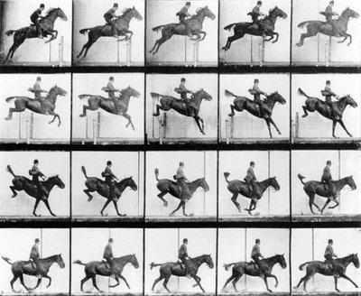 Uomo e cavallo che saltano, da 