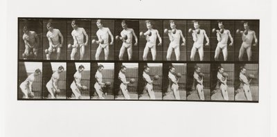 Uomo che solleva un manubrio, Tavola 324 da Animal Locomotion, 1887 da Eadweard Muybridge