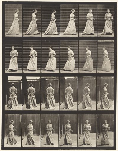 Tavola 100. Girare e salire le scale, 1885 da Eadweard Muybridge
