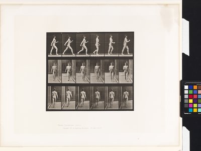 Tavola 10. Camminare da Eadweard Muybridge