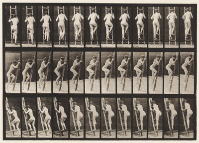Piatto 112. Salendo la scala da Eadweard Muybridge