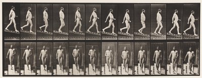 Tavola 113. Scendere una pendenza, 1 su 4 da Eadweard Muybridge