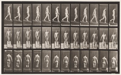 Tavola 114. Scendere la pendenza, angolo 1 su 4, 1872-1885 da Eadweard Muybridge