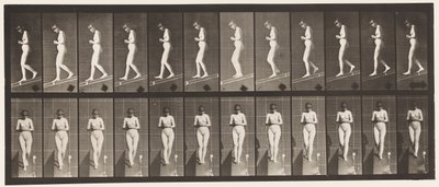 Tavola 115. Scendere una pendenza con le mani giunte davanti da Eadweard Muybridge
