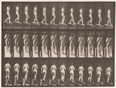 Piastra 116. Scendere una pendenza, una mano sul mento da Eadweard Muybridge