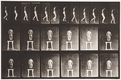 Piatto 118. Discesa da Eadweard Muybridge