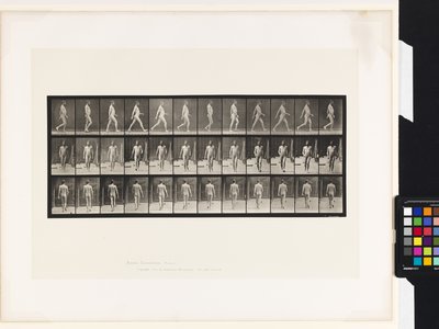 Tavola 11. Camminare da Eadweard Muybridge