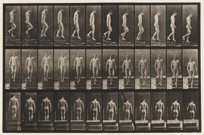 Tavola 125. Discesa delle scale da Eadweard Muybridge