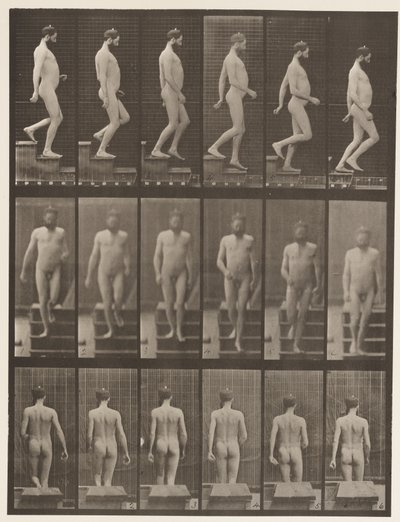 Tavola 127. Scendere le scale da Eadweard Muybridge