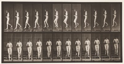 Tavola 128. Scendere le scale, mani giunte da Eadweard Muybridge