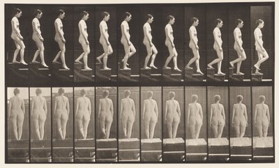 Piatto 129. Scendendo le scale, mani giunte da Eadweard Muybridge