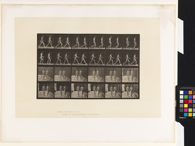Tavola 12. Camminare da Eadweard Muybridge