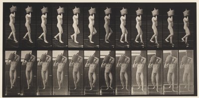 Scendere le Scale con un Demijohn Pieno sulla Spalla, 1872-1885 da Eadweard Muybridge