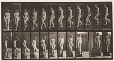 Scendere le scale, girarsi (tavola 137) da Eadweard Muybridge