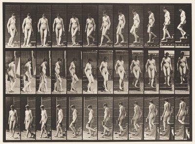 Scendere le scale, girarsi; brocca nella mano sinistra (tavola 138) da Eadweard Muybridge