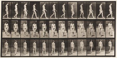 Tavola 13. Camminare da Eadweard Muybridge
