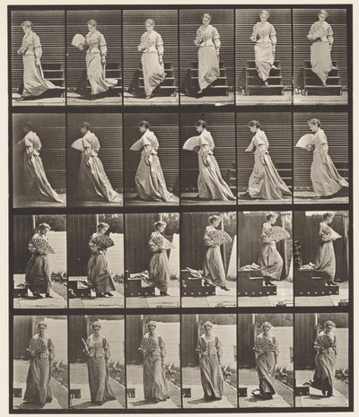 Tavola 141. Scendere le Scale e Sventolare un Ventaglio da Eadweard Muybridge